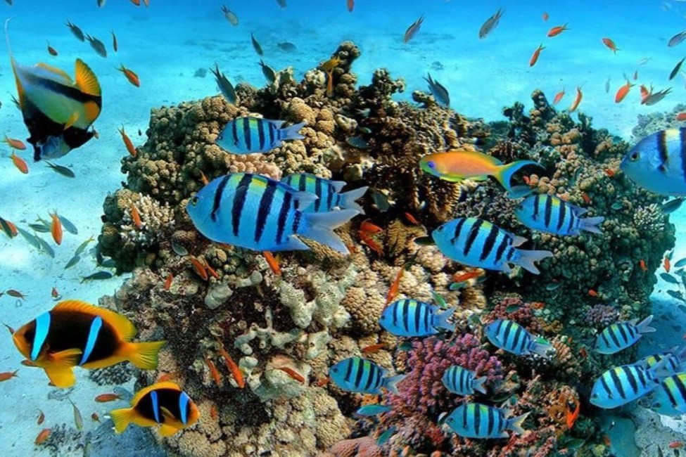 European Capital Cities